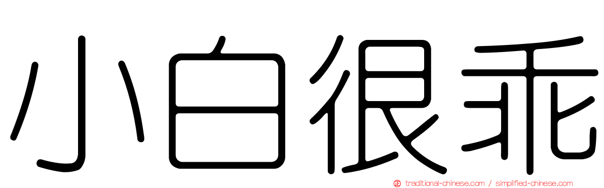 小白很乖