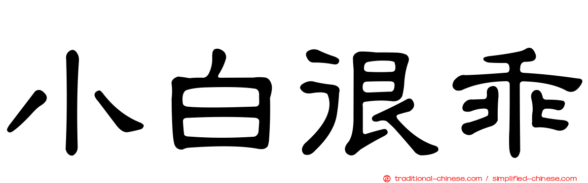小白很乖