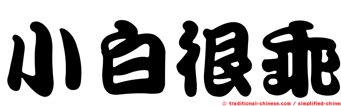 小白很乖