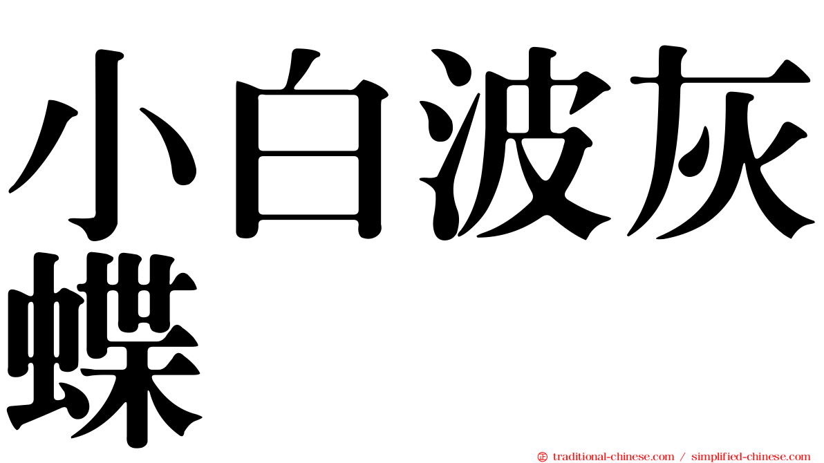 小白波灰蝶