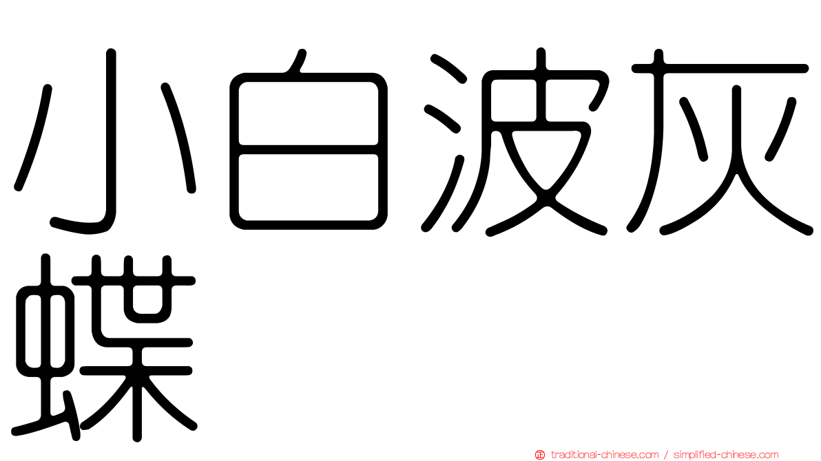 小白波灰蝶