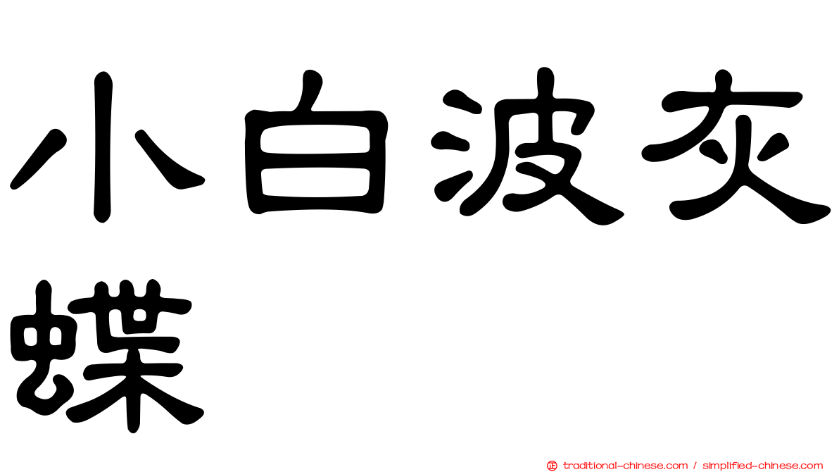 小白波灰蝶
