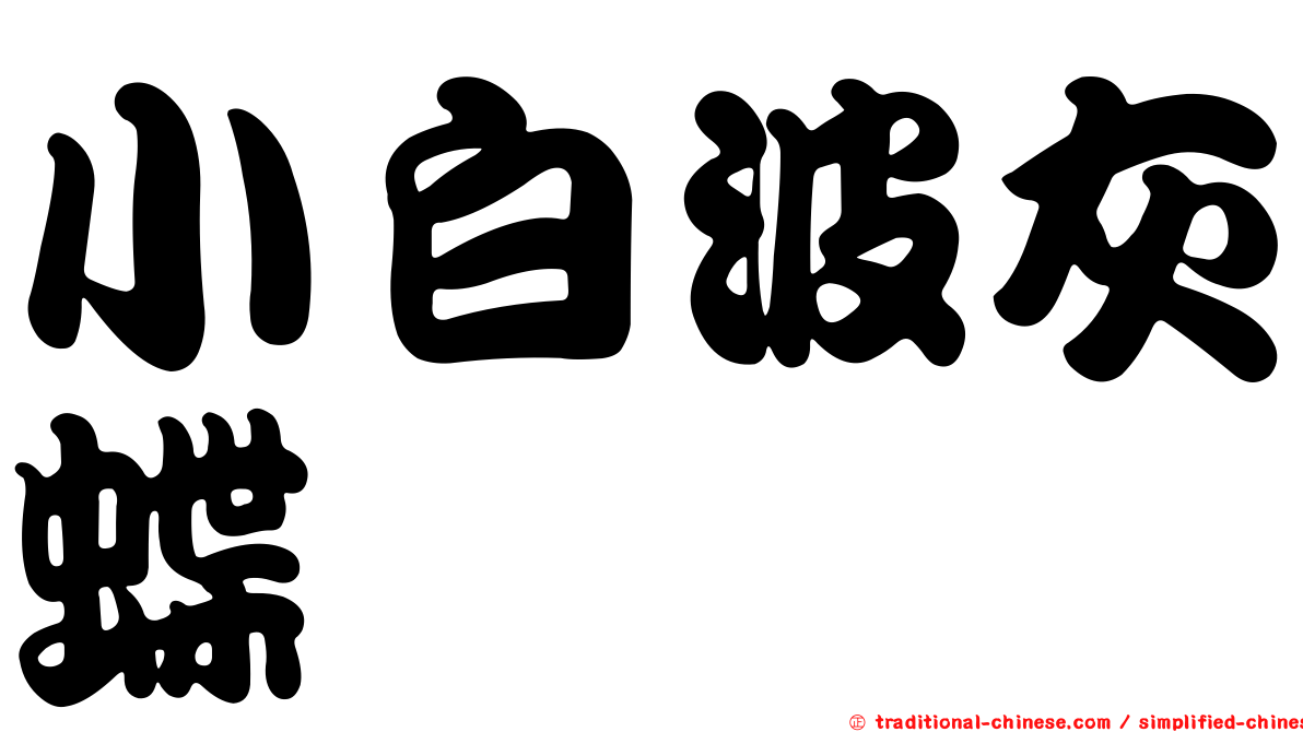 小白波灰蝶