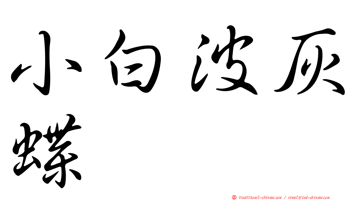 小白波灰蝶