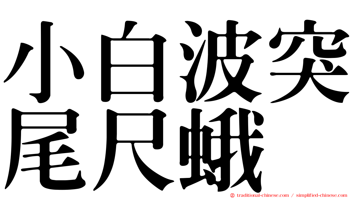 小白波突尾尺蛾
