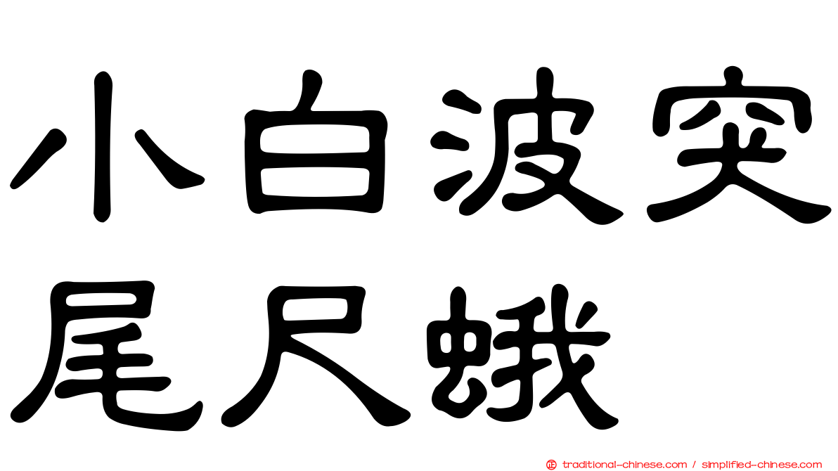 小白波突尾尺蛾