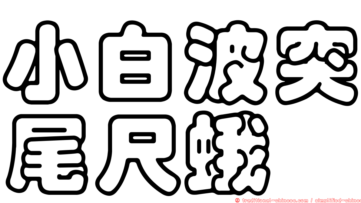 小白波突尾尺蛾