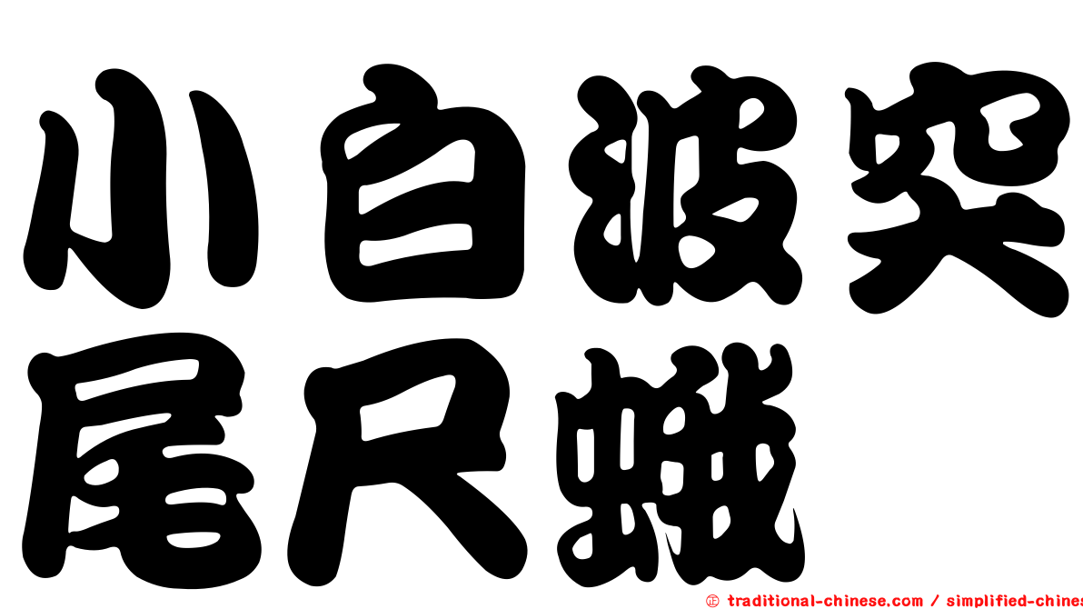 小白波突尾尺蛾