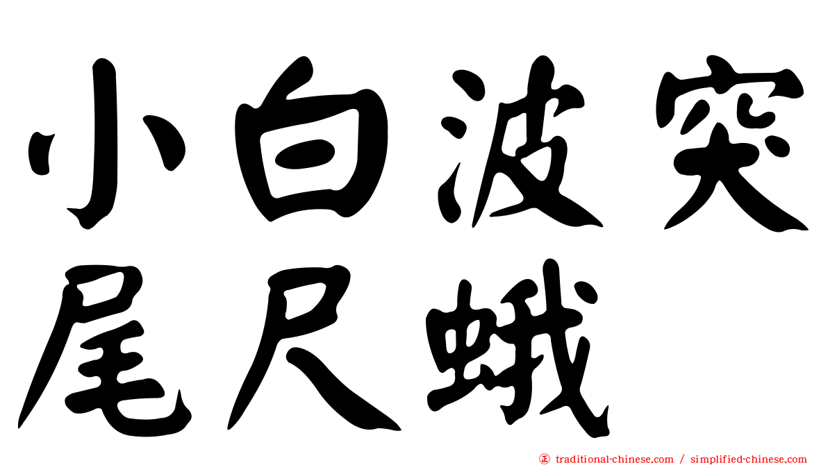 小白波突尾尺蛾