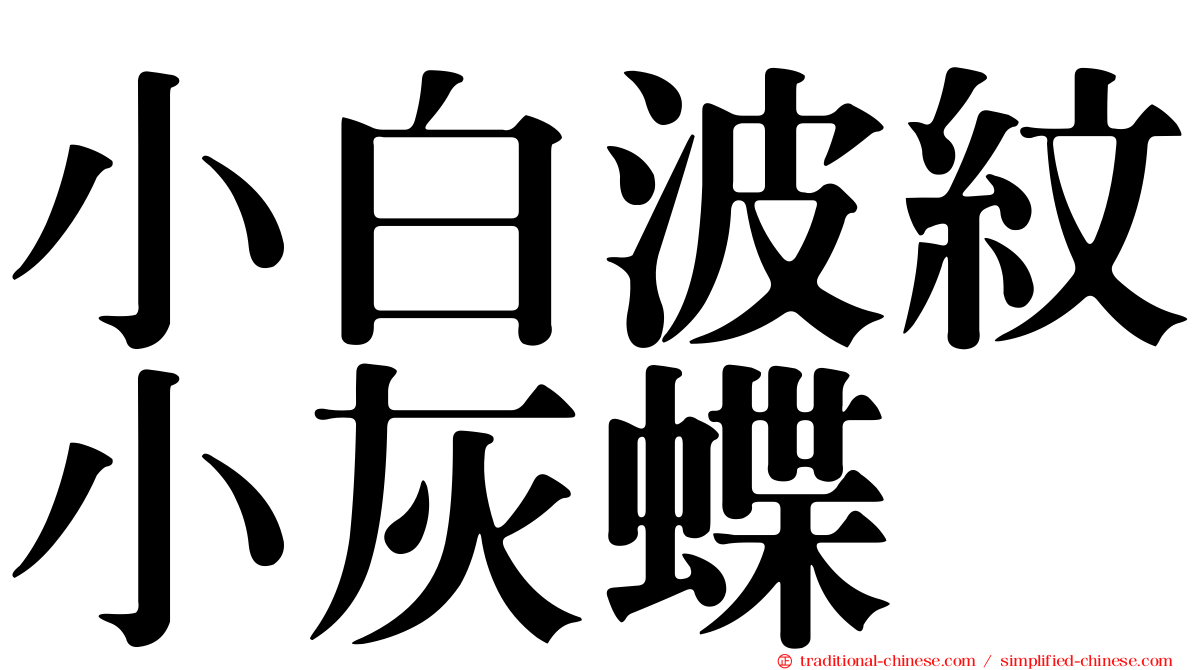 小白波紋小灰蝶