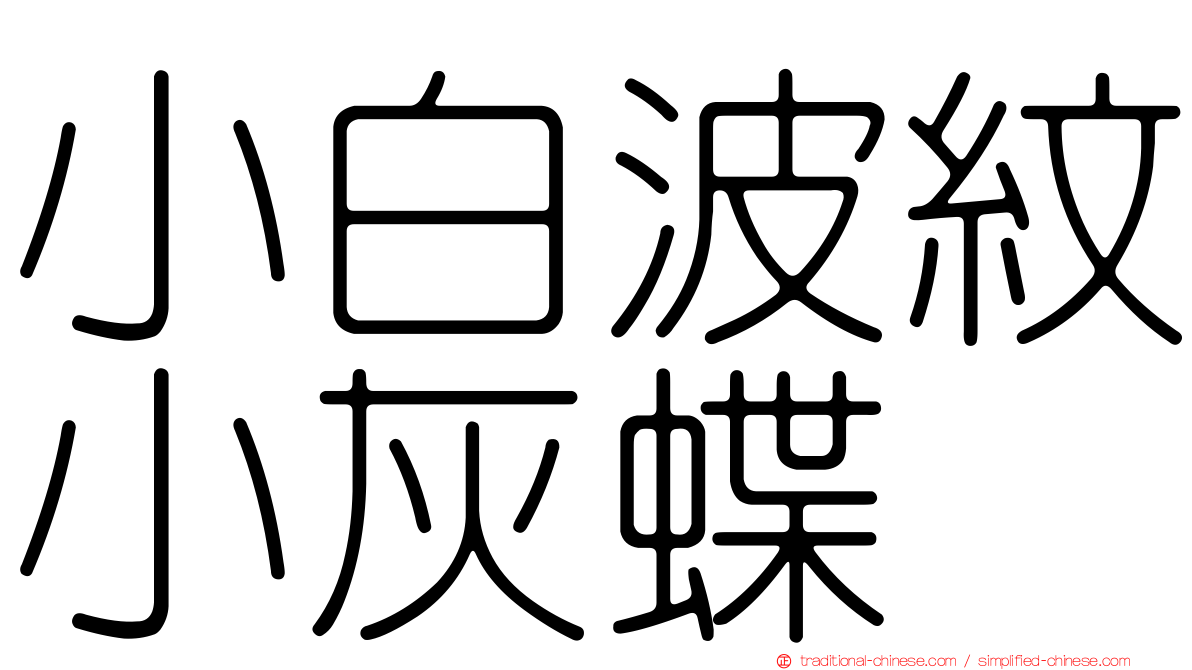 小白波紋小灰蝶