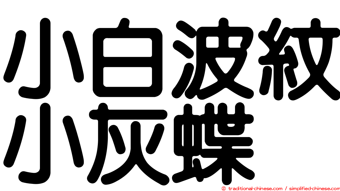 小白波紋小灰蝶