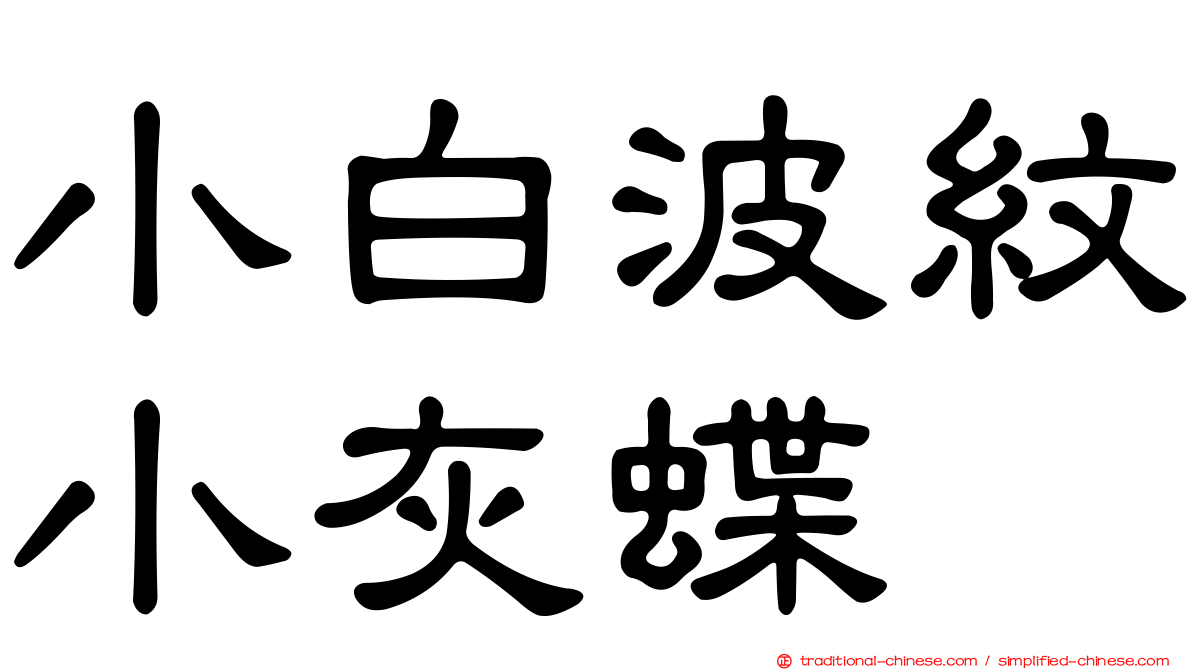 小白波紋小灰蝶