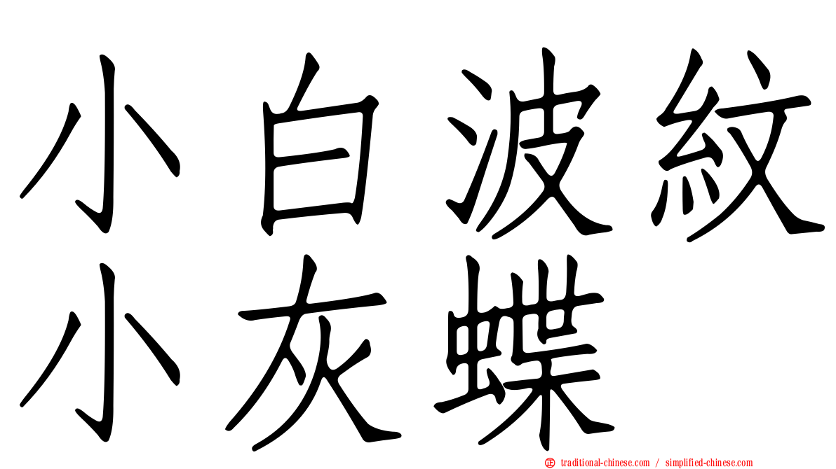 小白波紋小灰蝶