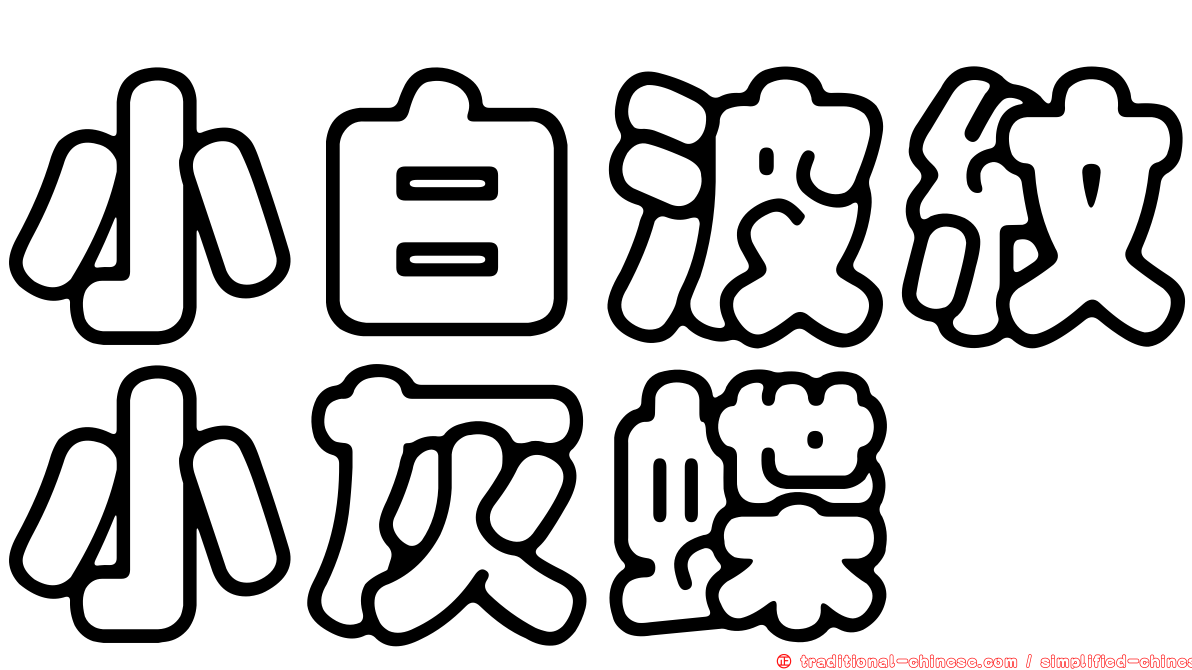 小白波紋小灰蝶