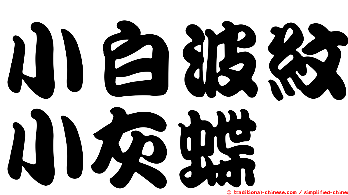 小白波紋小灰蝶