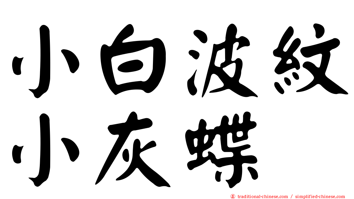 小白波紋小灰蝶