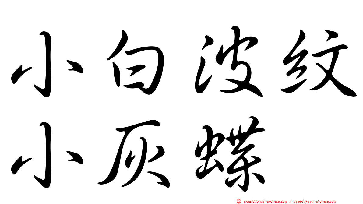 小白波紋小灰蝶