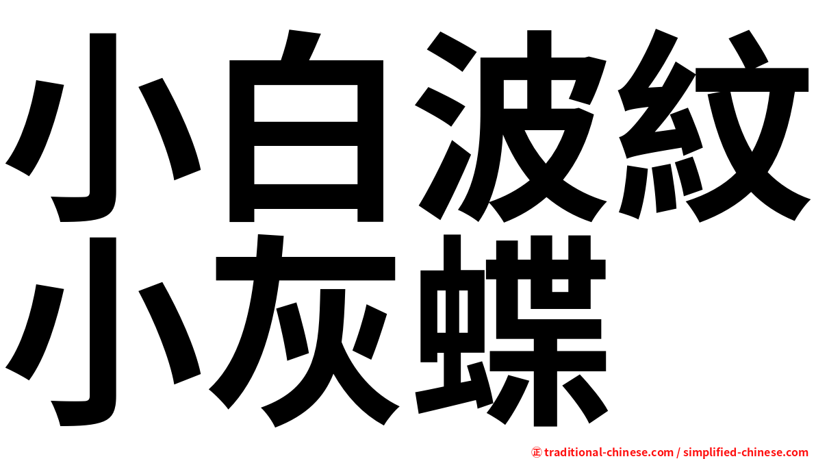 小白波紋小灰蝶