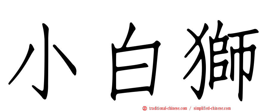 小白獅