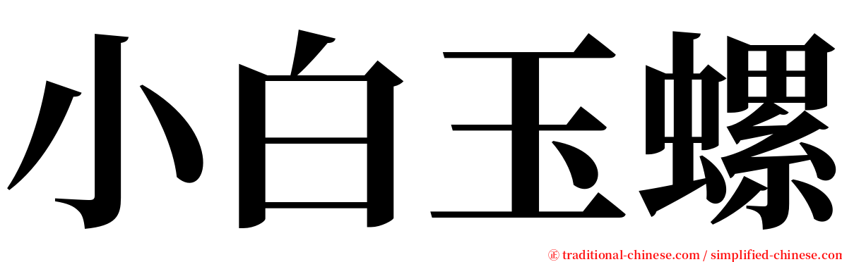 小白玉螺 serif font