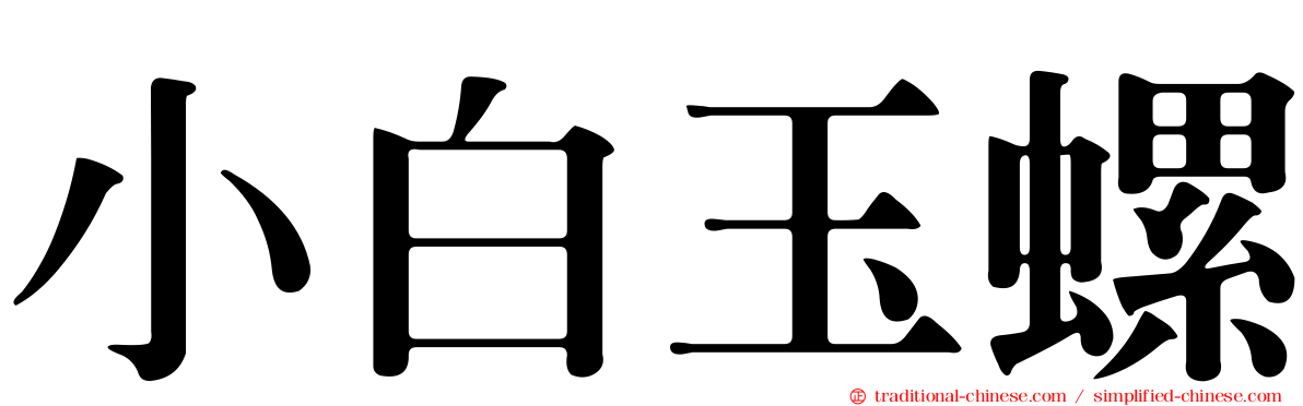 小白玉螺