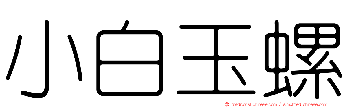 小白玉螺