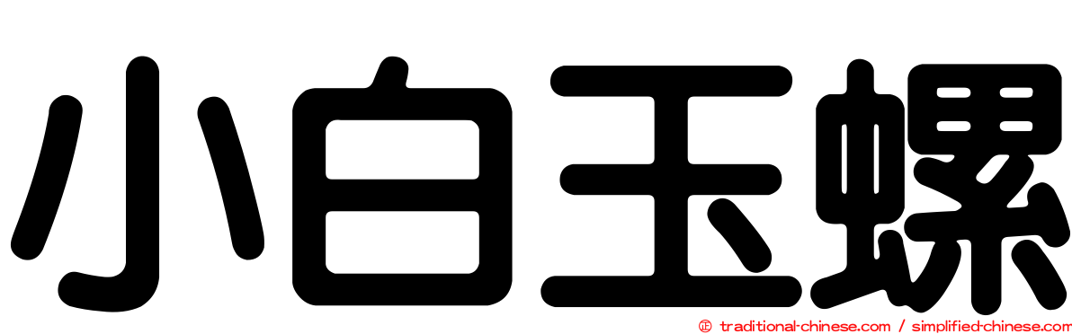 小白玉螺