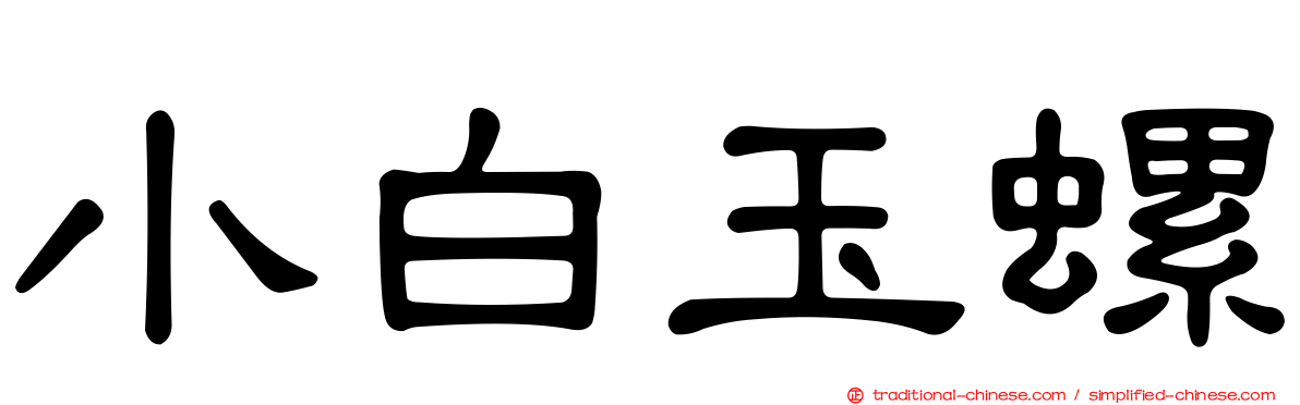 小白玉螺