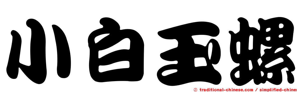 小白玉螺