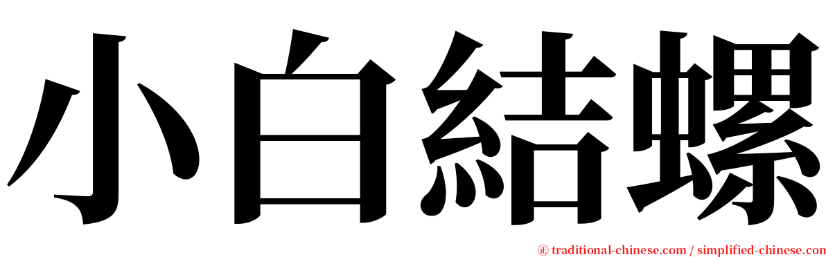 小白結螺 serif font
