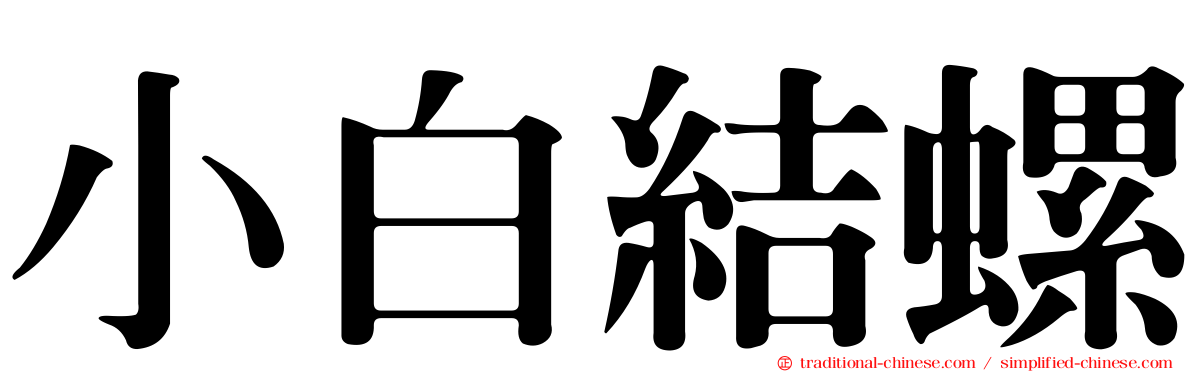 小白結螺
