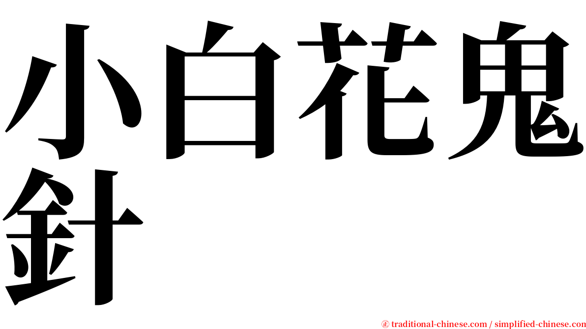 小白花鬼針 serif font