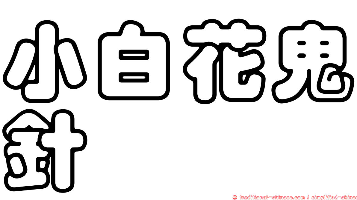 小白花鬼針