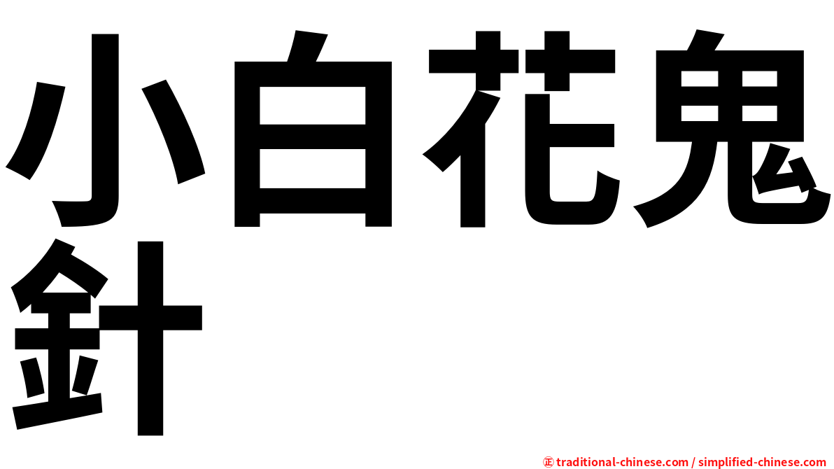 小白花鬼針