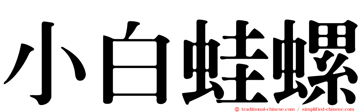 小白蛙螺