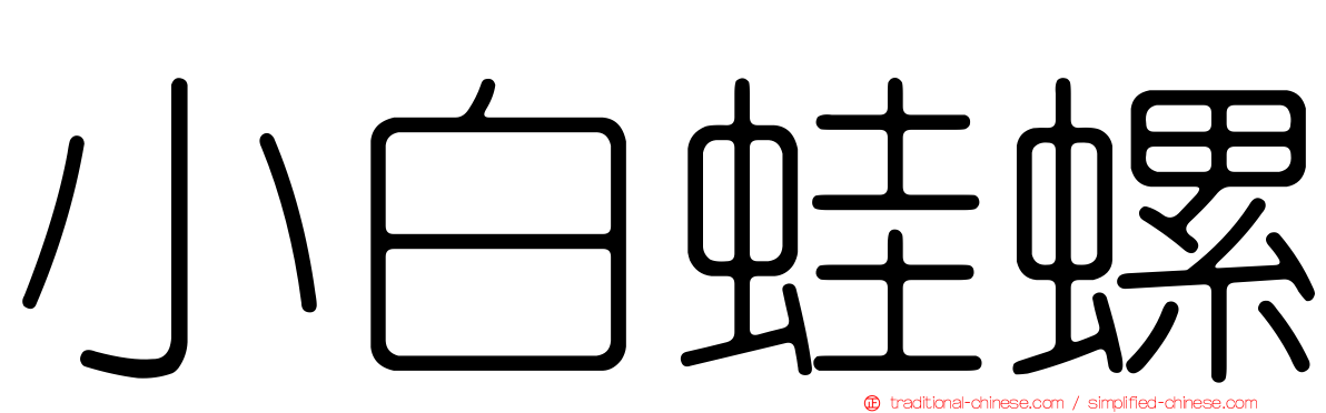 小白蛙螺