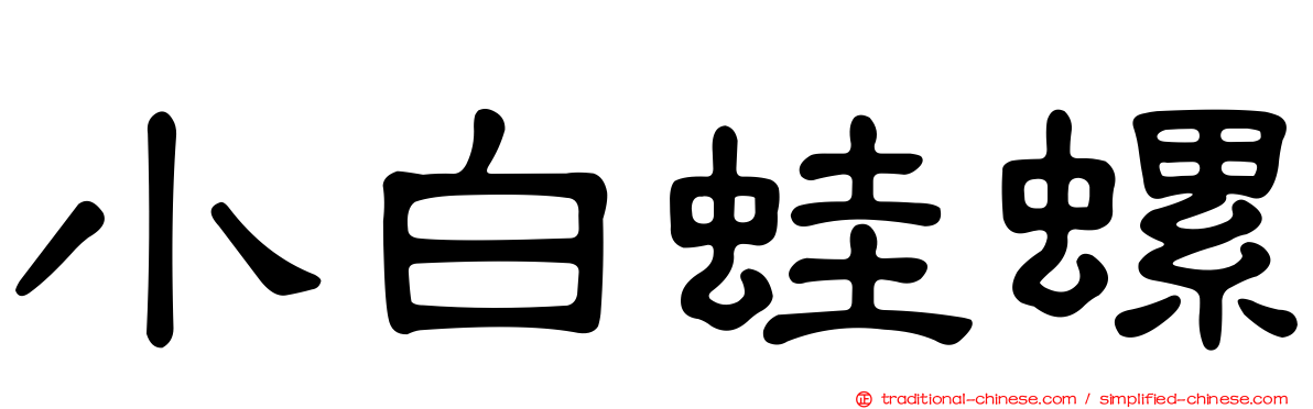小白蛙螺