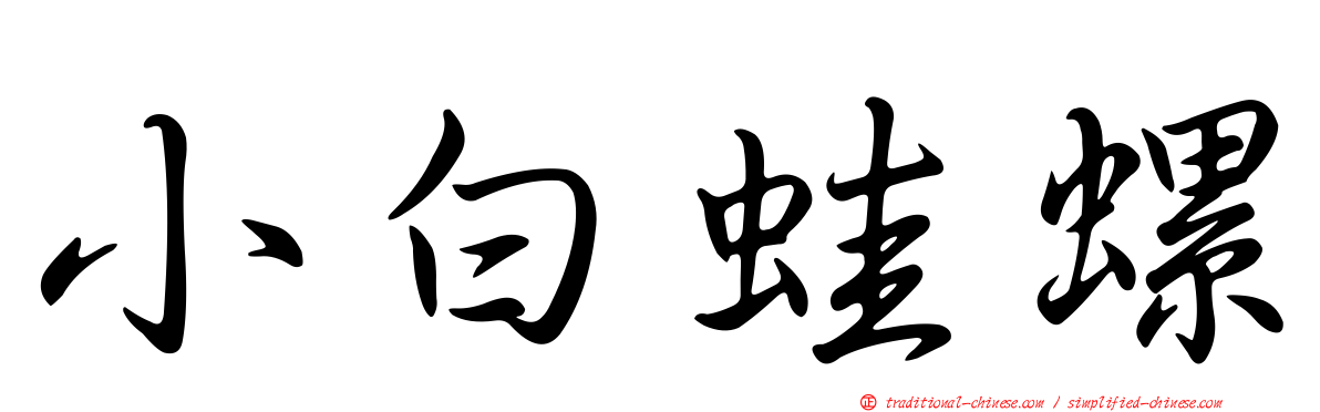 小白蛙螺