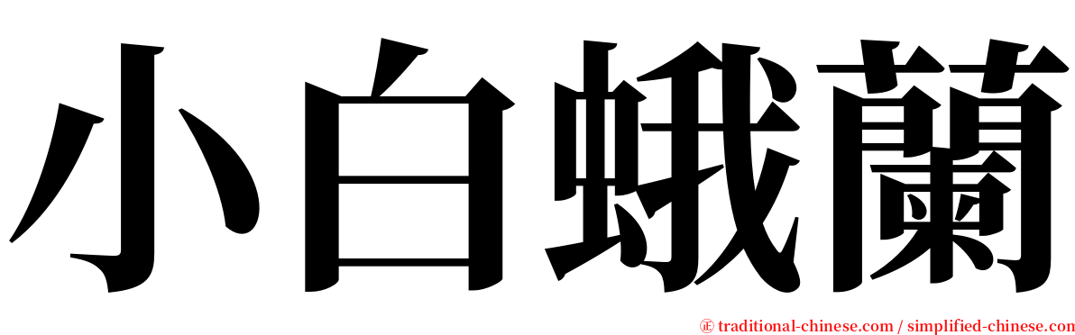 小白蛾蘭 serif font