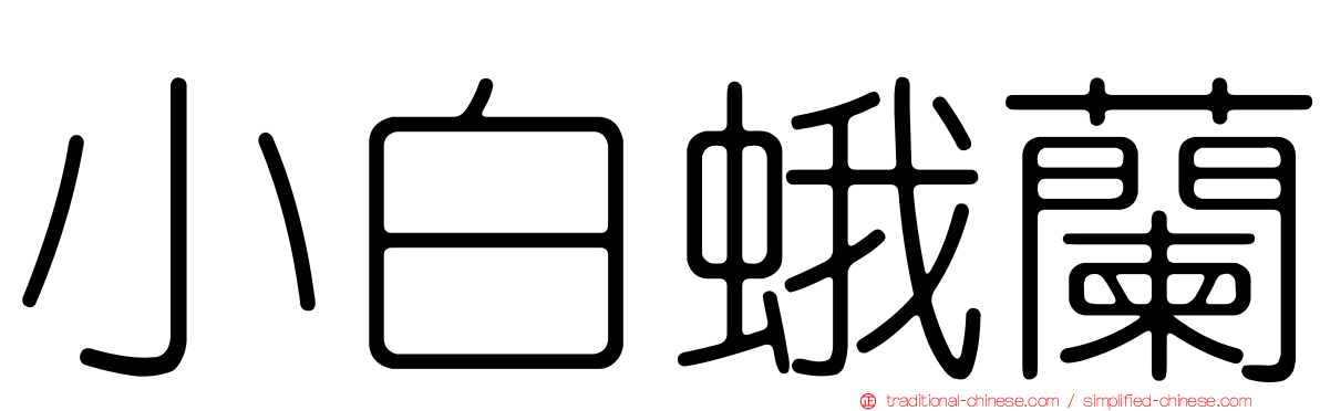 小白蛾蘭
