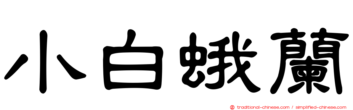 小白蛾蘭