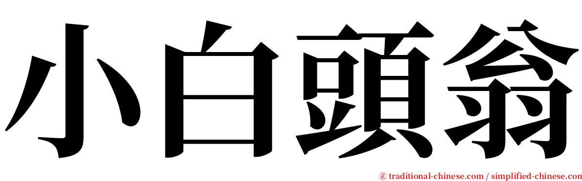 小白頭翁 serif font