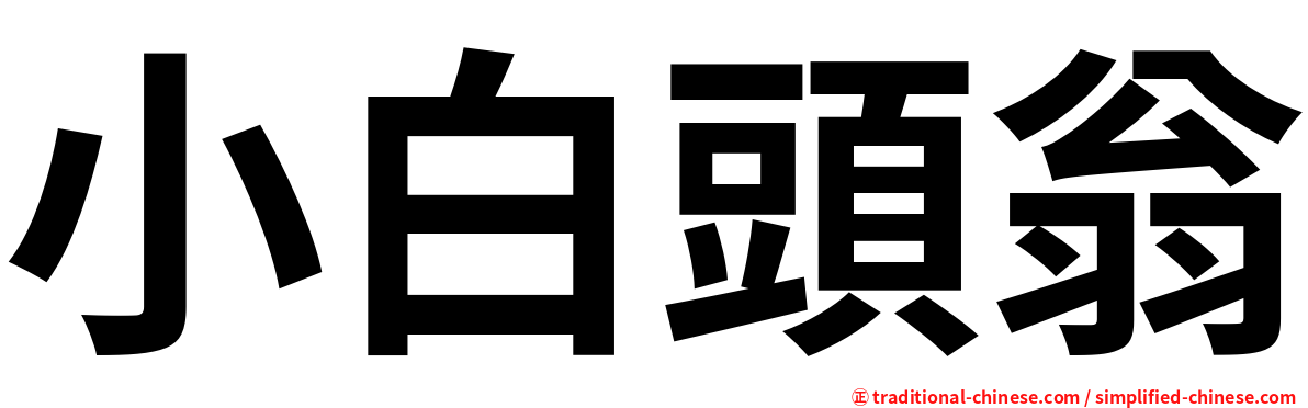 小白頭翁