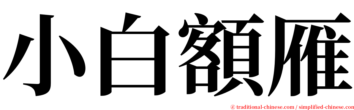 小白額雁 serif font