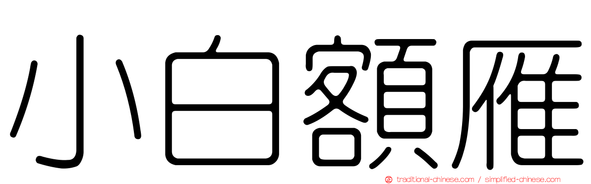 小白額雁