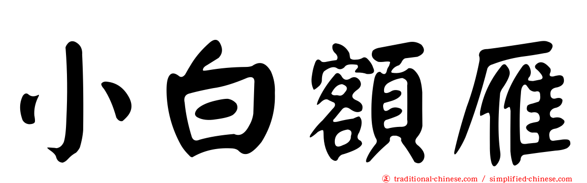 小白額雁