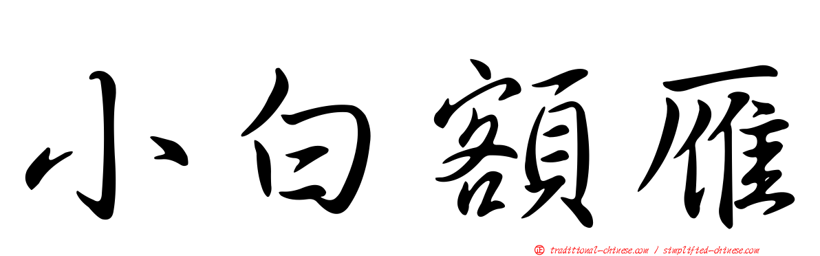 小白額雁