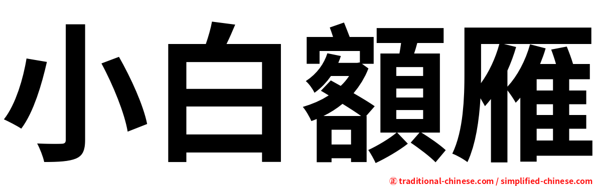 小白額雁