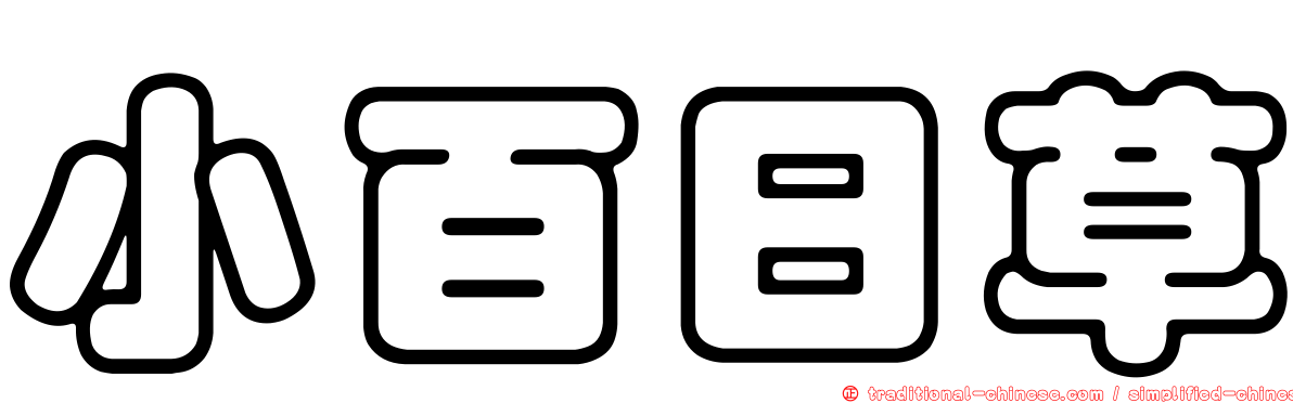 小百日草